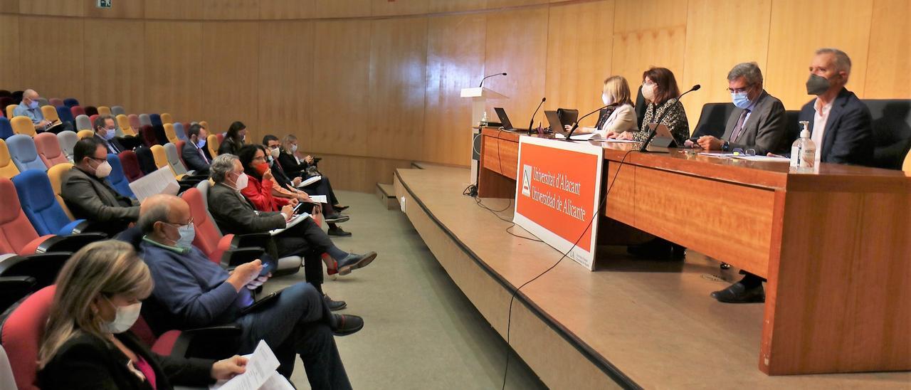 Reunión del Consejo de Gobierno de la Universidad de Alicante, esta mañana