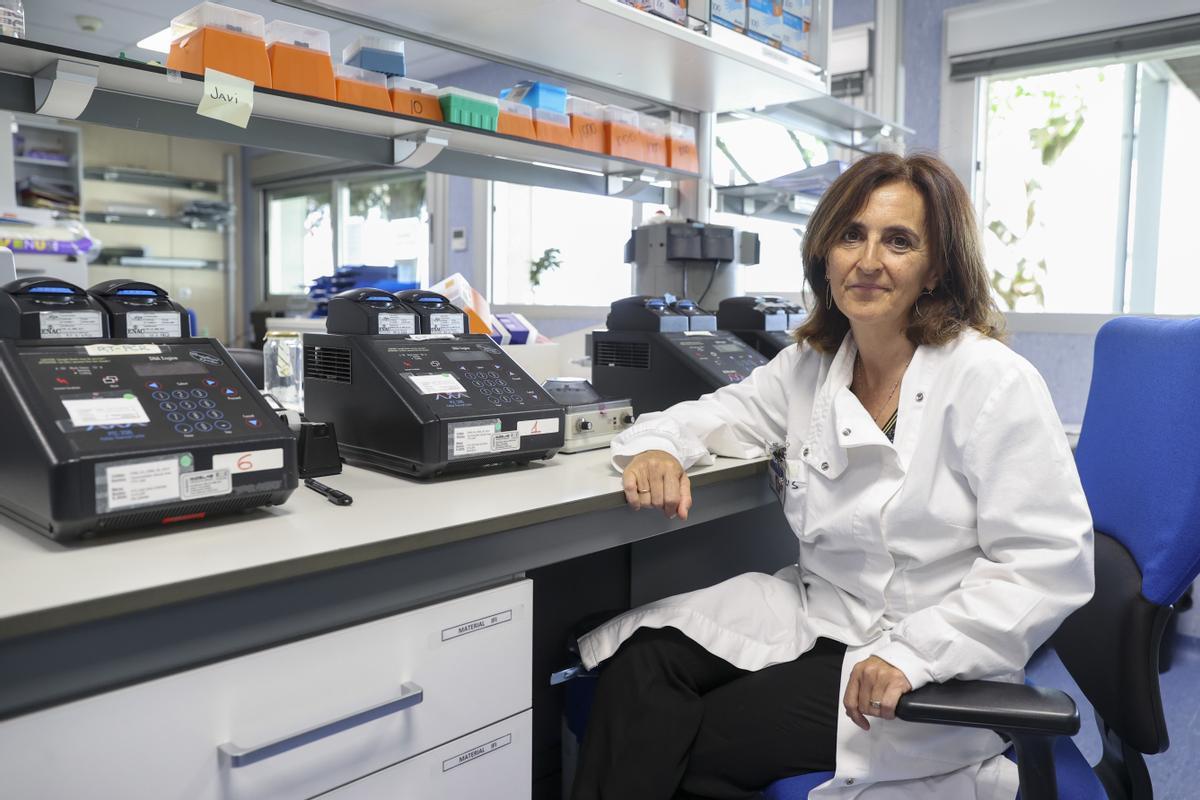 La viróloga Maripaz Sánchez-Seco, que lidera el equipo que ha logrado la secuencia completa de la bacteria causante de la viruela de mono.