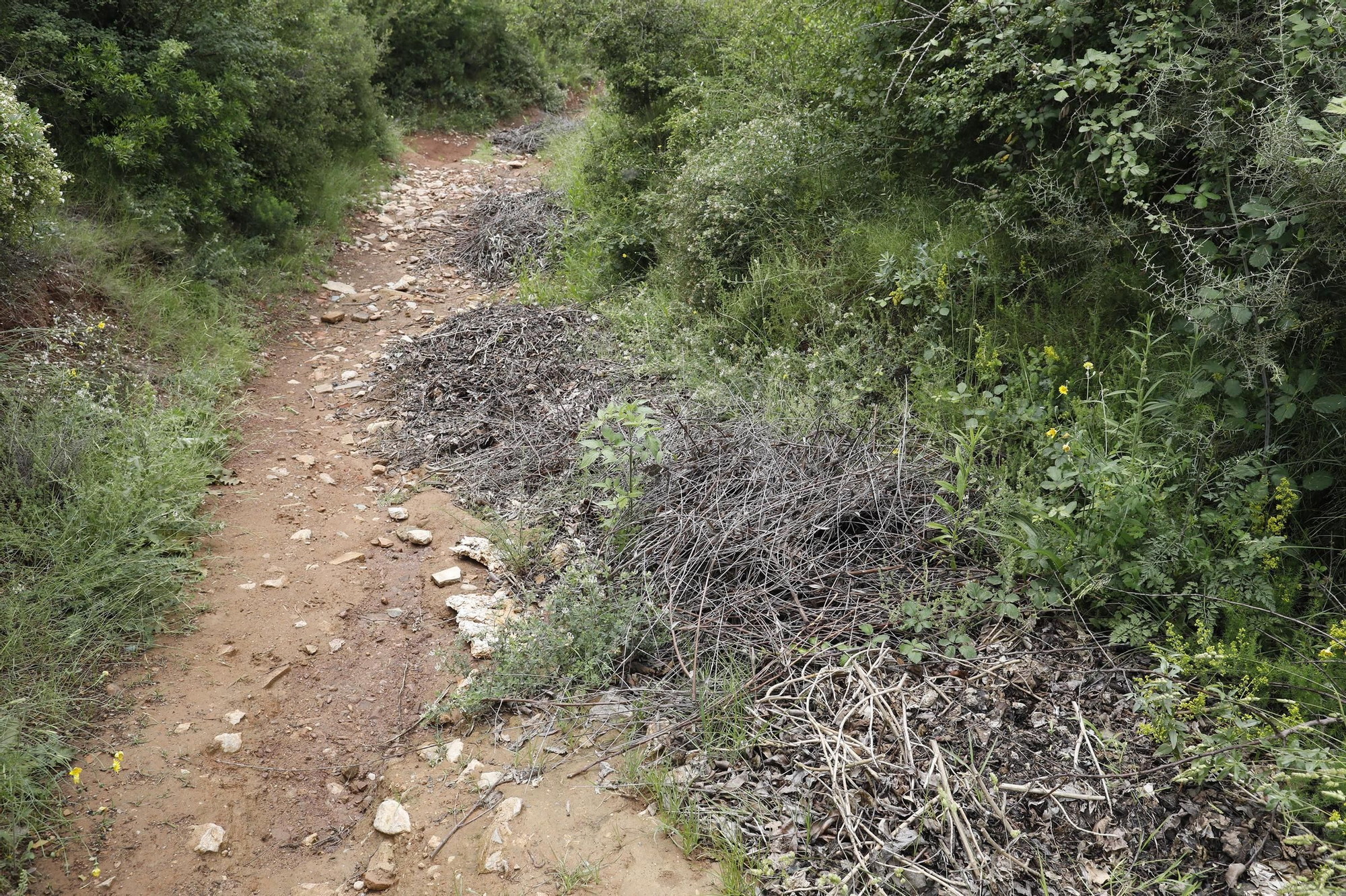 Les imatges de l’entorn del parc de les Pedreres de Girona