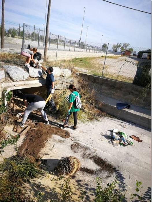 Recollida de plàstics a Vilamalla