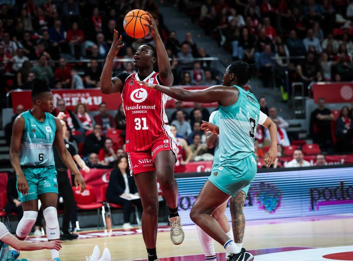 WhatsApp Image 2026 01 12 at 17.37.22