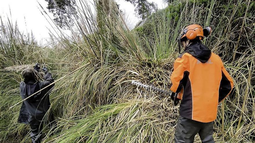 Fragas do Mandeo encuentra envases de hace 40 años en las marismas de Betanzos