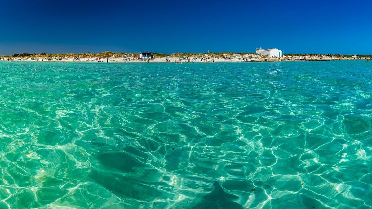 La pesca marina en el mar Mediterráneo - Ecología Política