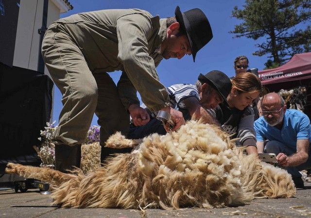 Feria de la Lana de La Orotava