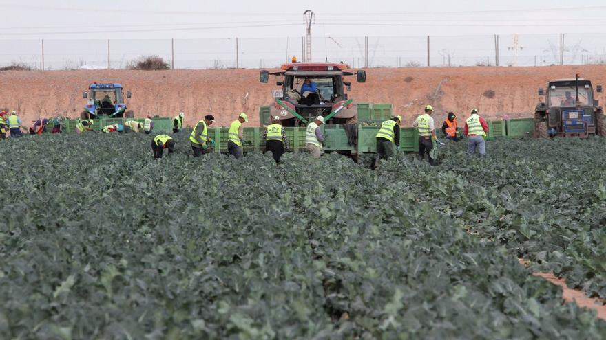 Los agricultores tendrán un año para contratar a los inspectores privados de la Ley del Mar Menor