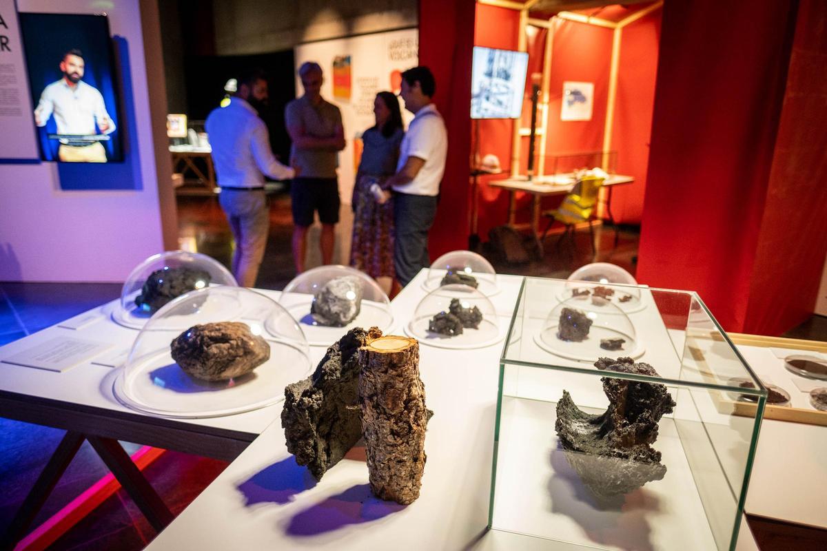 Inaguración exposición 'Ceniza y lava' Inaguración exposición 'Ceniza y lava'