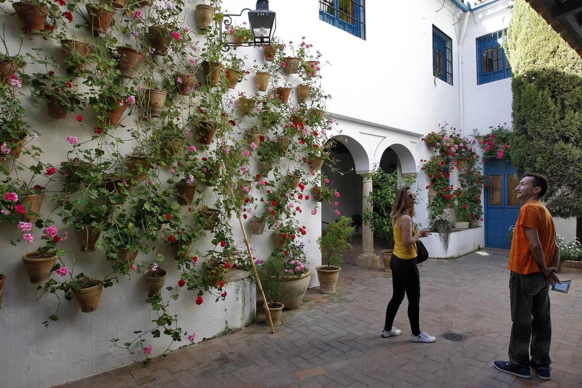 FOTOGALERÍA / Viana, un paseo con los cinco sentidos