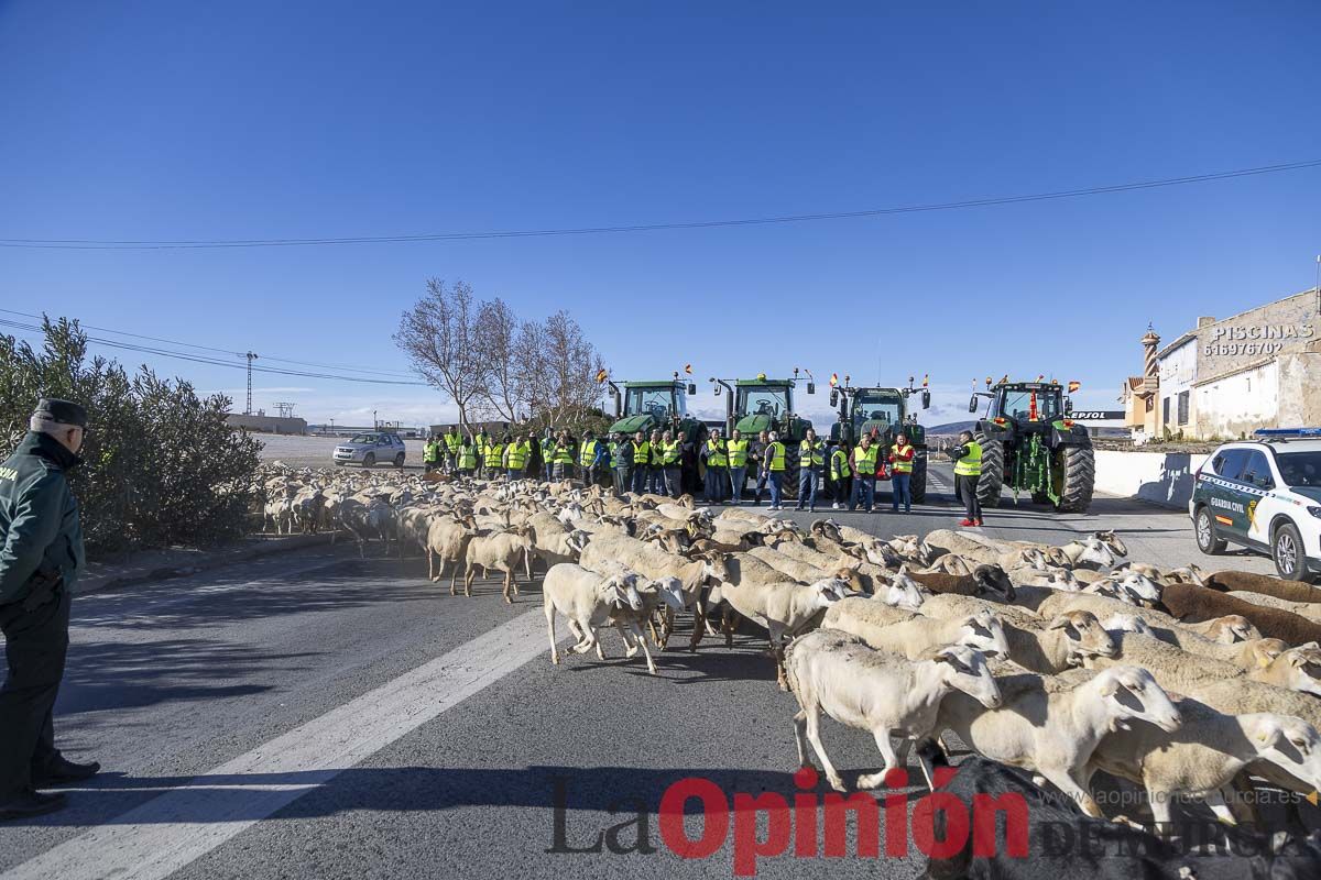 Manifestaciones de agricultores en Caravaca