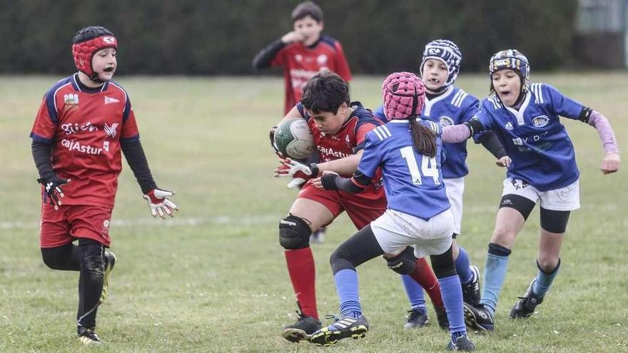 Rugby para todas las edades
