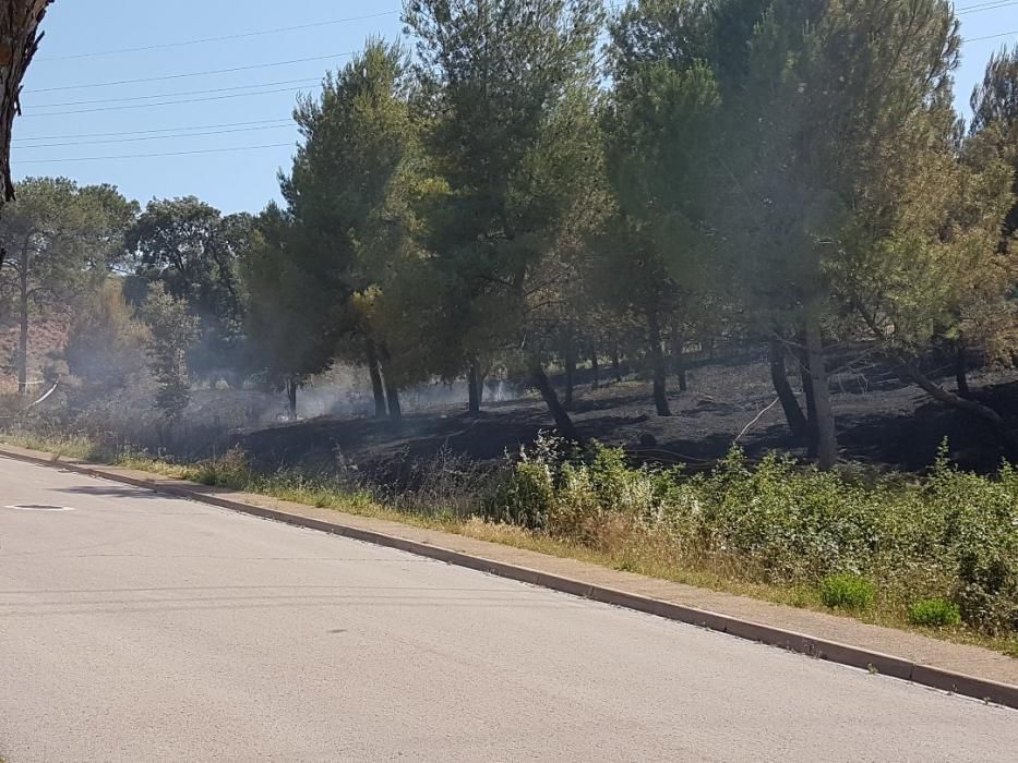 Incendi agrícola a Sant Joan de Vilatorrada