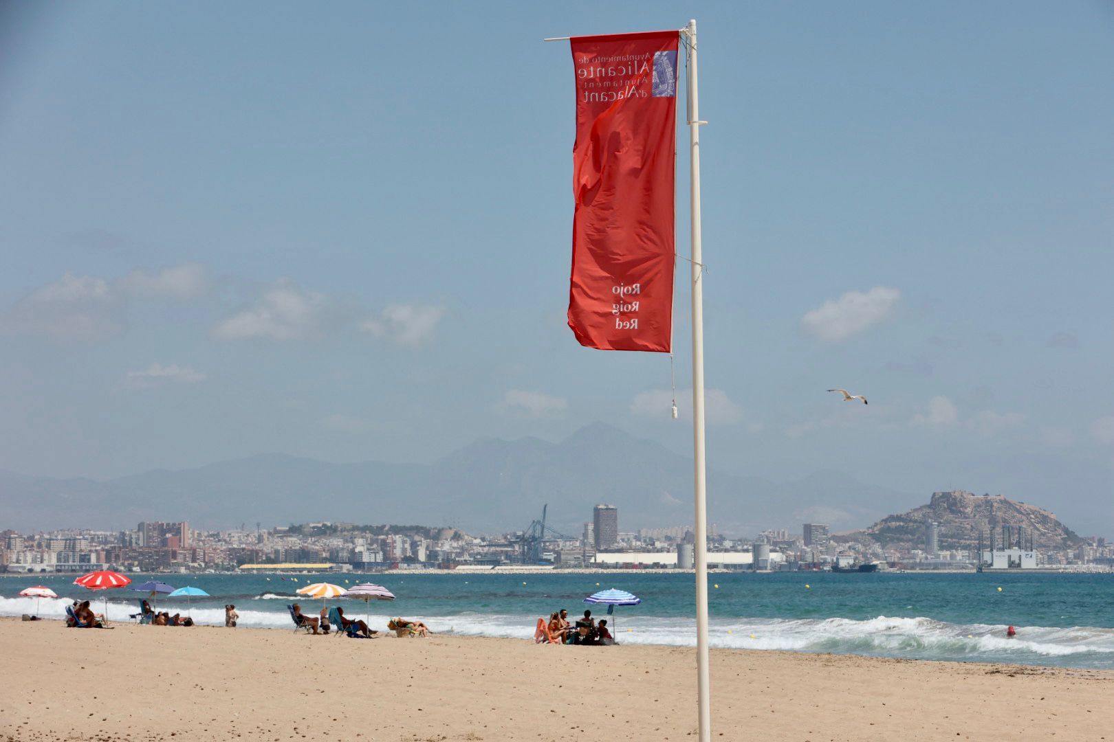 Bandera roja en la playa de Urbanova y la de perros por la mala calidad del agua