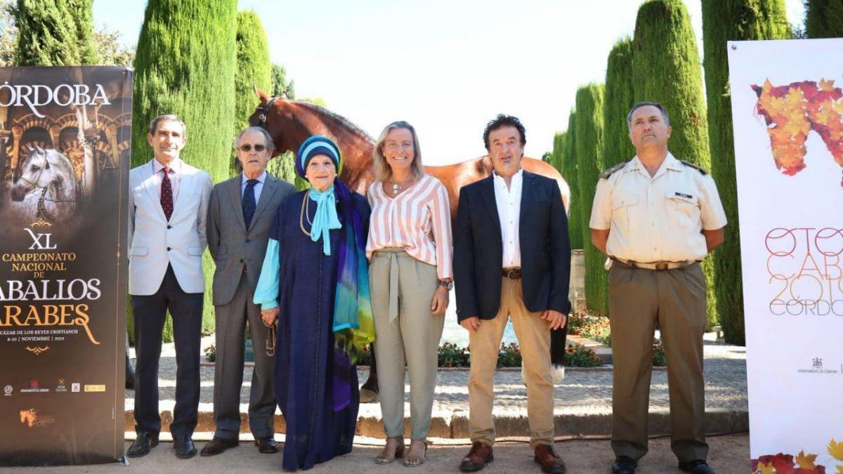 Córdoba acogerá por primera vez en 40 años el Campeonato Nacional de Caballos Árabes