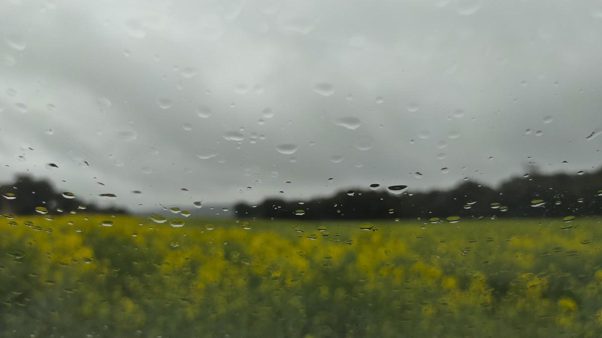 Pluja entre Ardèvol i Torà