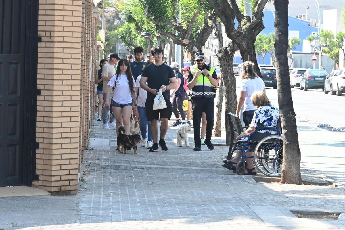 La marcha canina benéfica de Vila-real, en imágenes