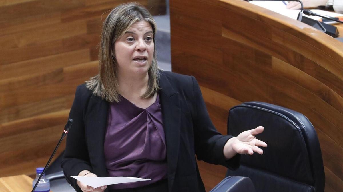 Gimena Llamedo durante un pleno en la Junta General del Principado.