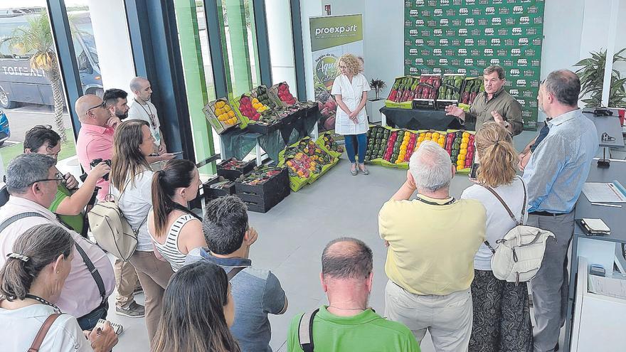 Mucho más que esfuerzo, inversión y calidad tras un producto como el pimiento