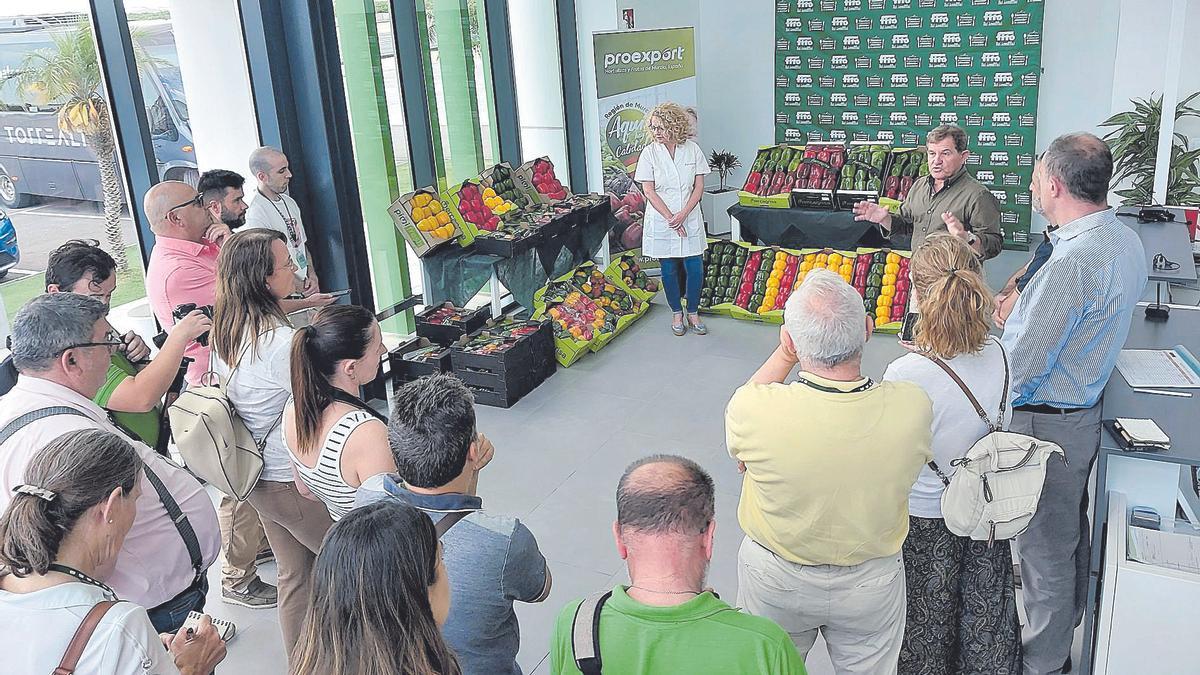 La Asociación de Productores-Exportadores de Frutas y Hortalizas de la Región de Murcia (Proexport) defiende los intereses del sector desde 1977.
