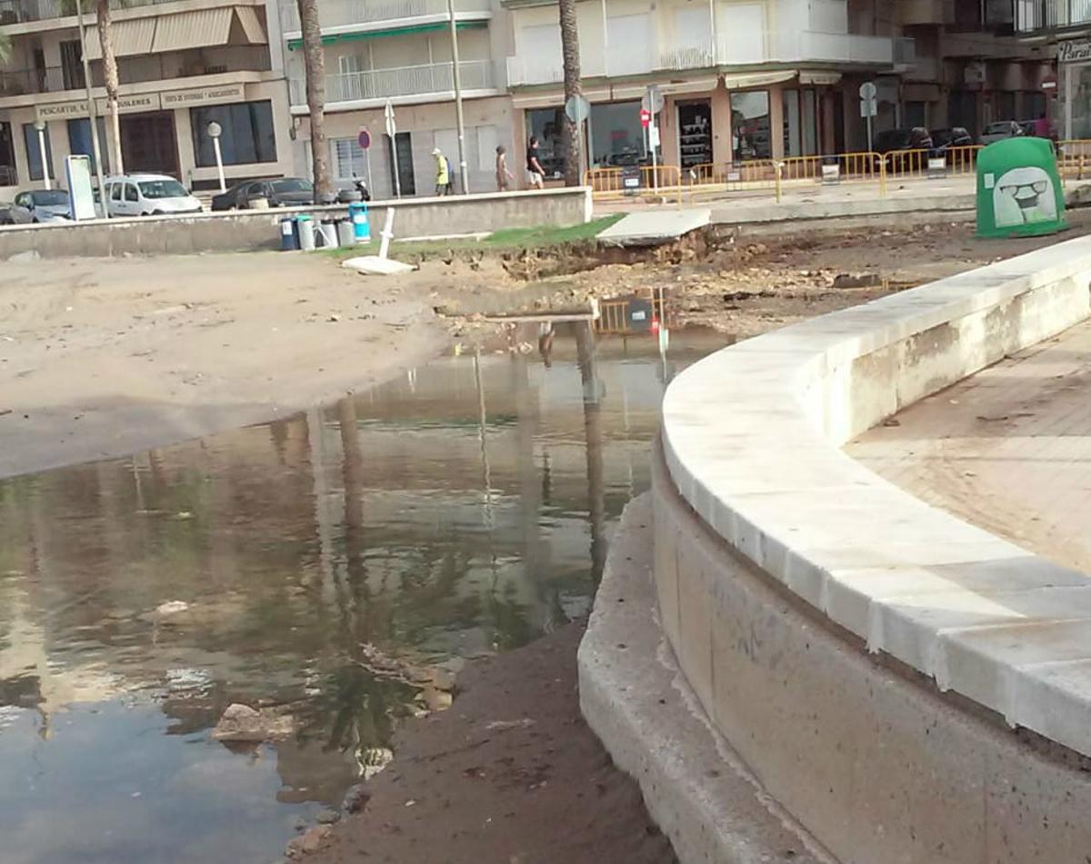 En directo: Los agricultores cifran en 550 millones las pérdidas en el campo de la provincia de Alicante