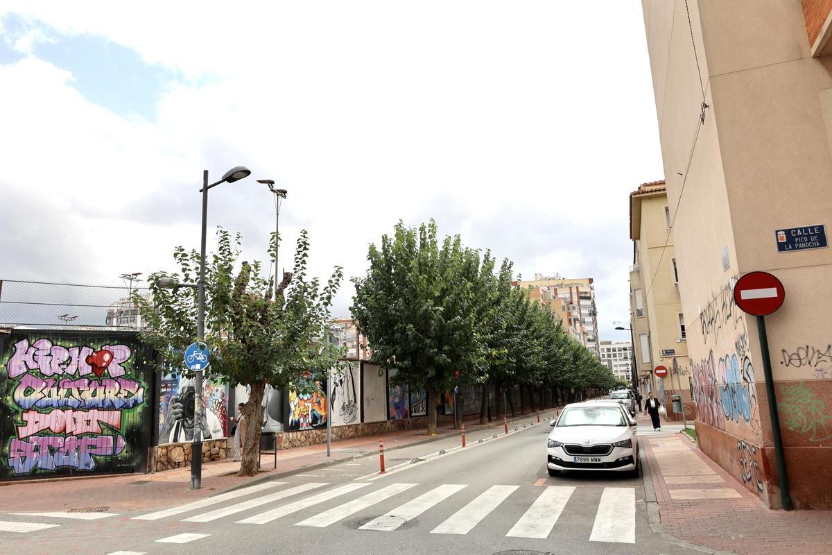 Las ratas anidan en los árboles de la calle Mar Menor, en Murcia.