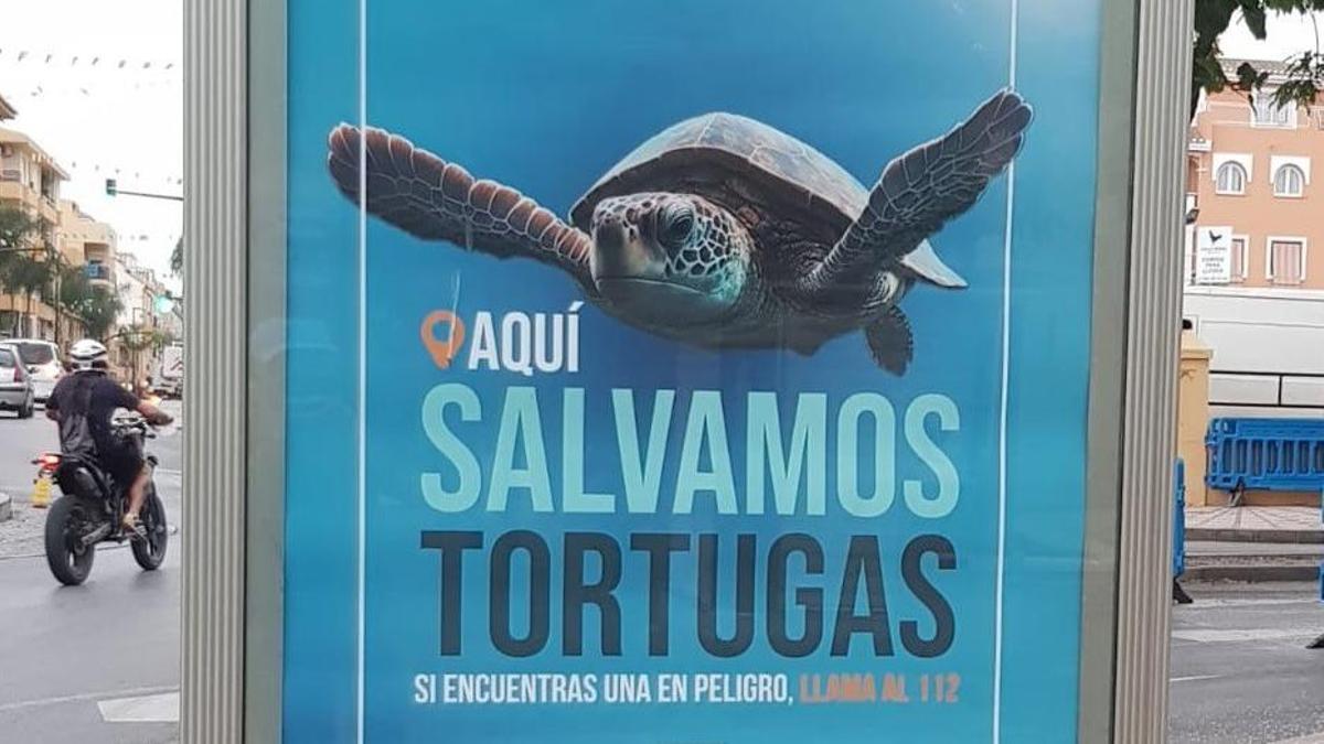 Un anuncio de la campaña 'Aquí Salvamos Tortugas', en Rincón de la Victoria.