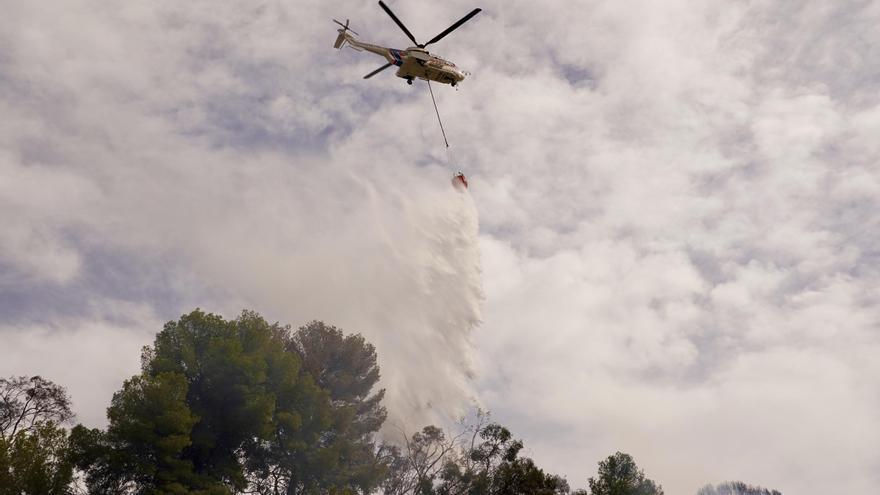 Incendio forestal en Los Montes de Málaga