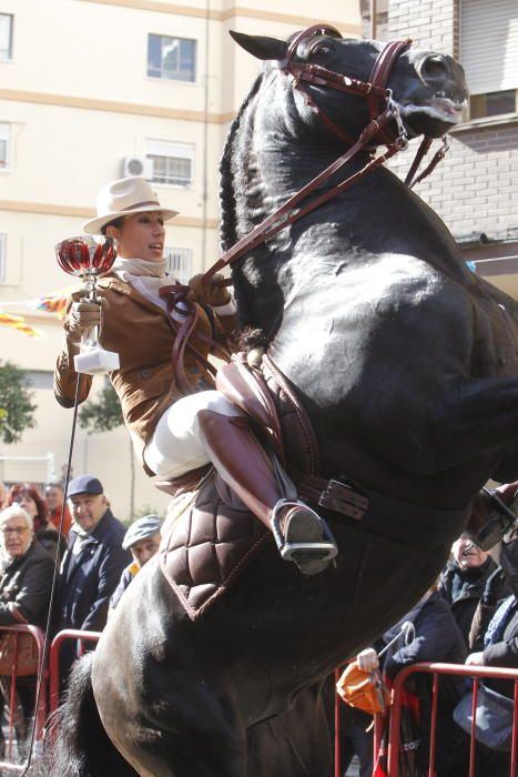 Sant Antoni en Valencia 2017