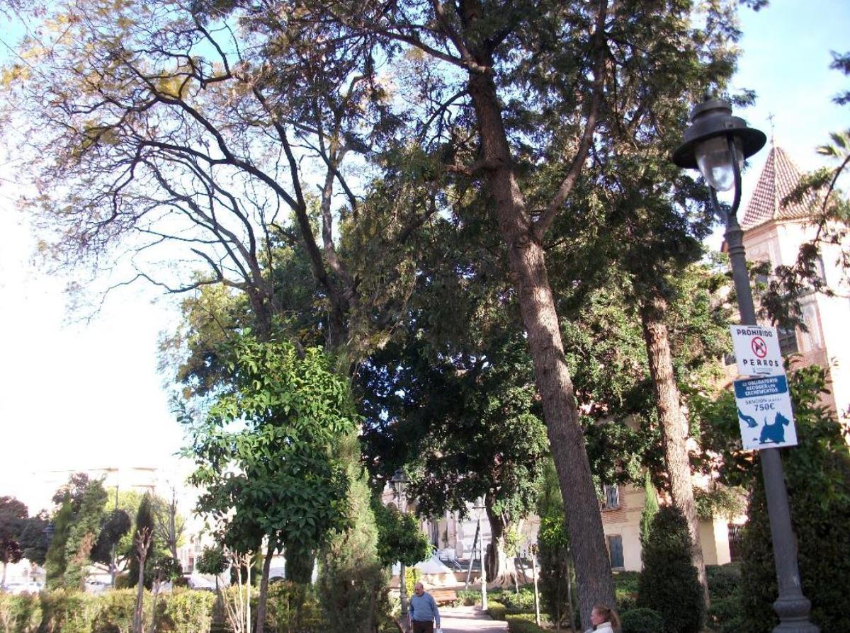 Jardines de Alfonso XII, una joya botánica de Málaga declarada Bien de Interés Cultural