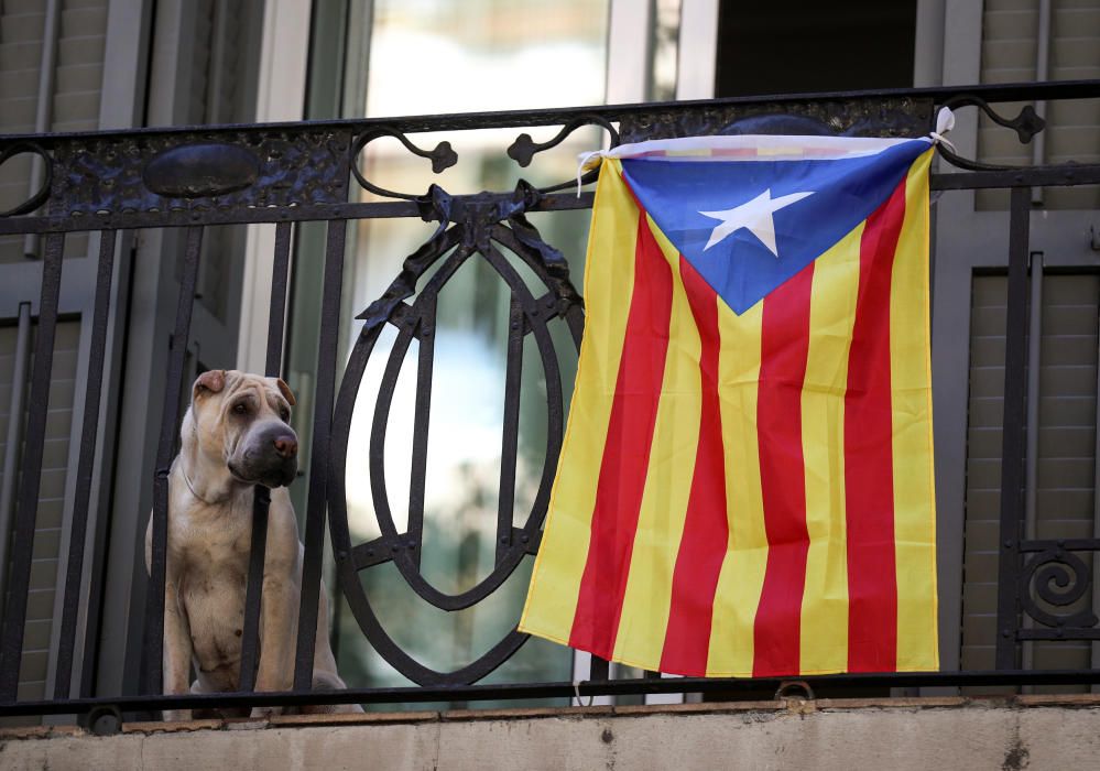 La Diada de l'11 de setembre a Catalunya