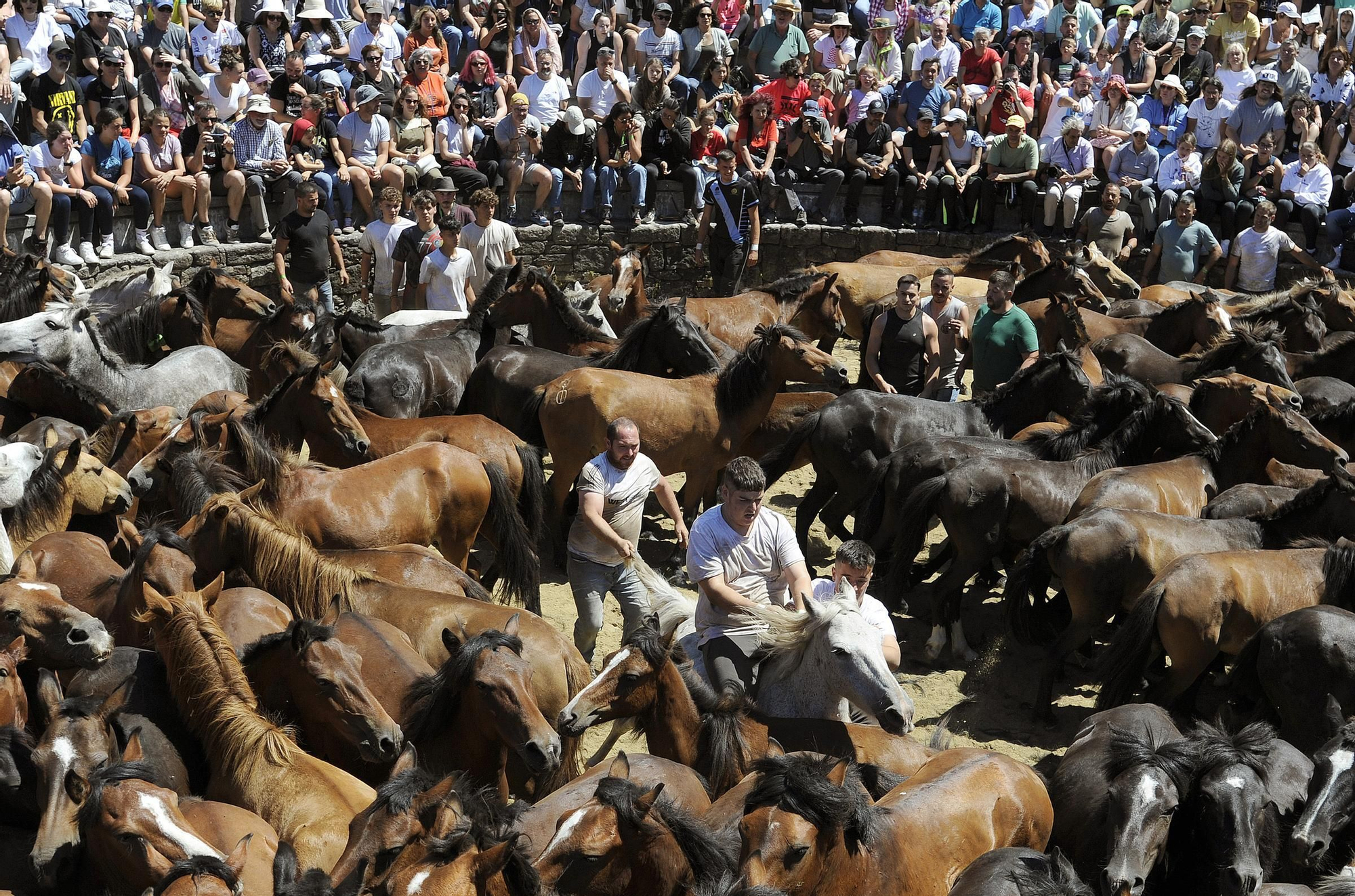 Las espectaculares imágenes que nos deja este lunes de Rapa que se despide con lleno y 160 medios acreditados de 13 países