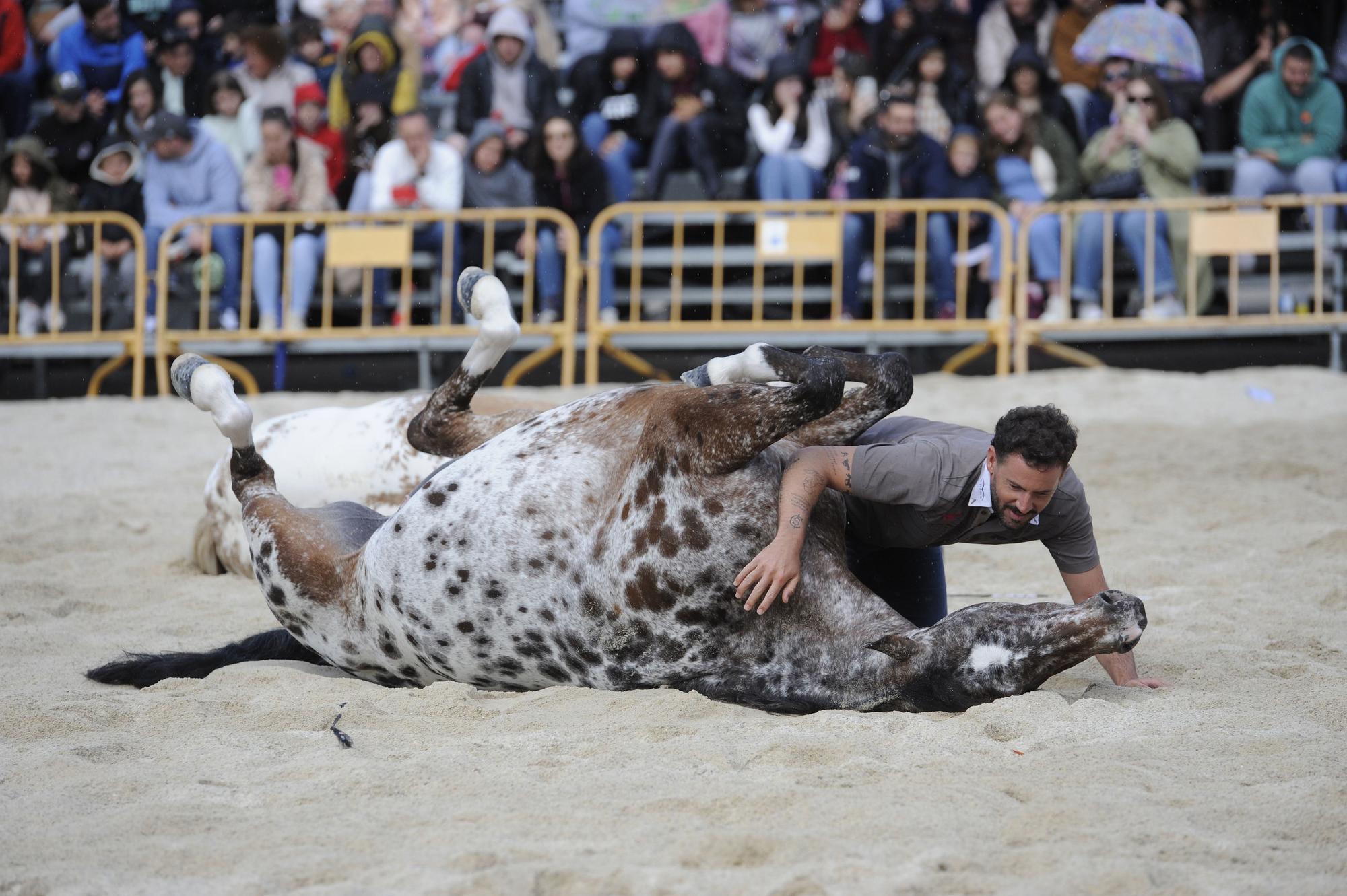 Danza sobre la arena: el espectáculo equino de Santi Serra hipnotiza Lalín