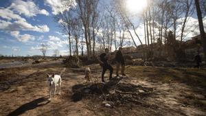 La dana obliga a monitoritzar l’Albufera i a regenerar el Túria
