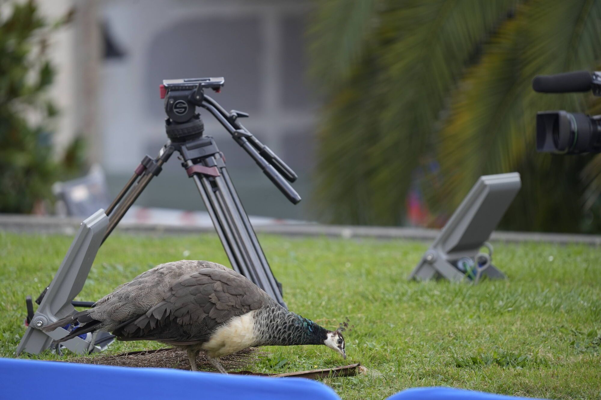 EN IMÁGENES: El hotel de la Reconquista se convierte en el epicentro de los premios "Princesa" en las horas previas a la ceremonia