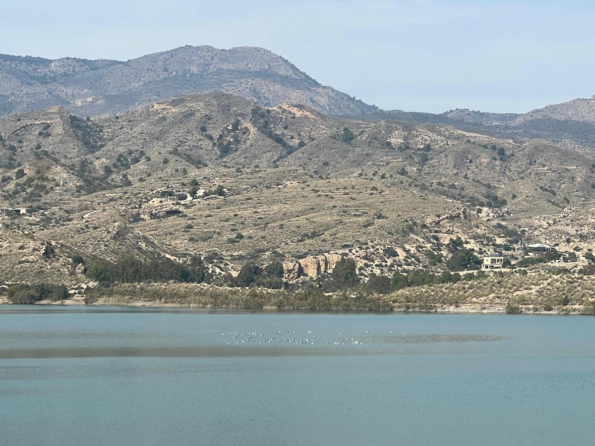 Además de mejorar la gestión de los recursos del Pantano de Crevillente, las nuevas balsas podrán recoger agua de lluvia