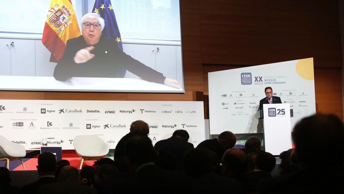 El ministro de Universidades, Manuel Castell, ha intervenido mediante videoconferencia.