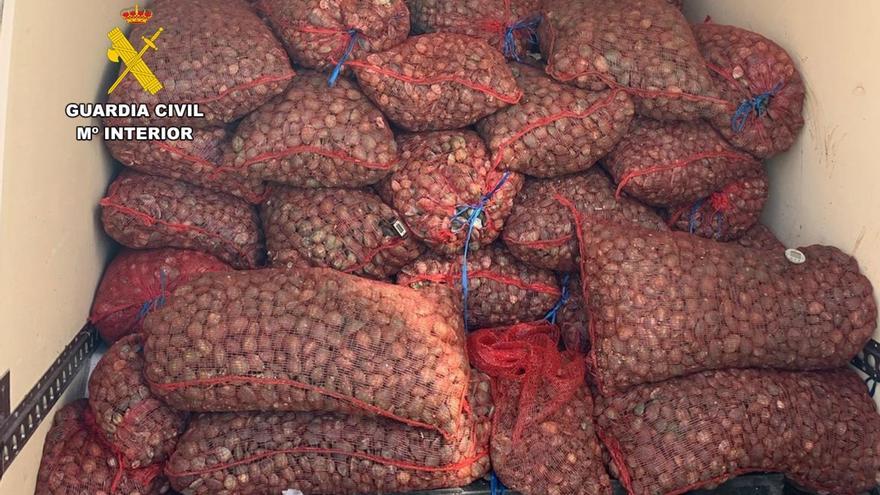 Incautados casi 3.700 kilos de almejas japonesas no aptas para consumo humano en Calatayud