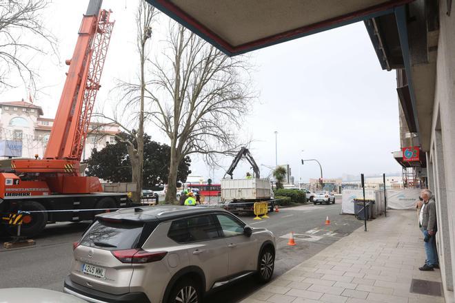 Tala de un álamo en la plaza de Ourense