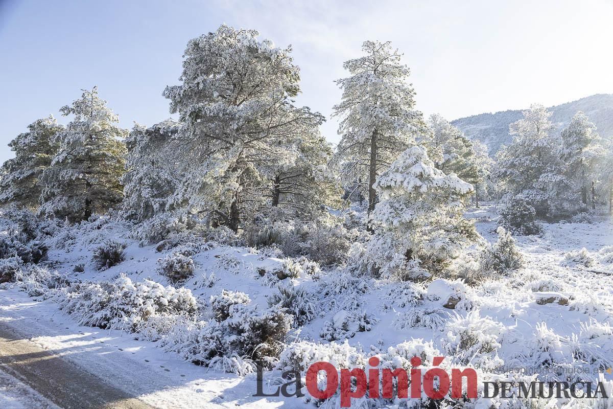 Descubre dónde queda acumulación de nieve en la Región de Murcia