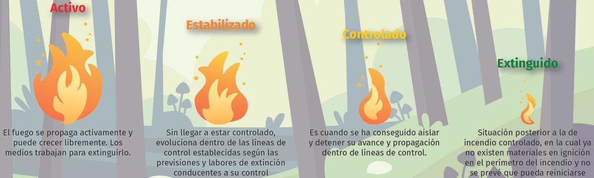 Fases del incendio.