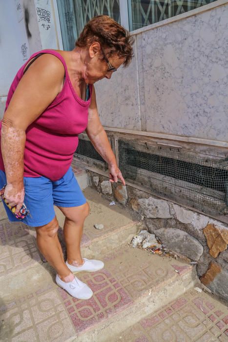 Deficiencias en accesos a la playa del Acequión