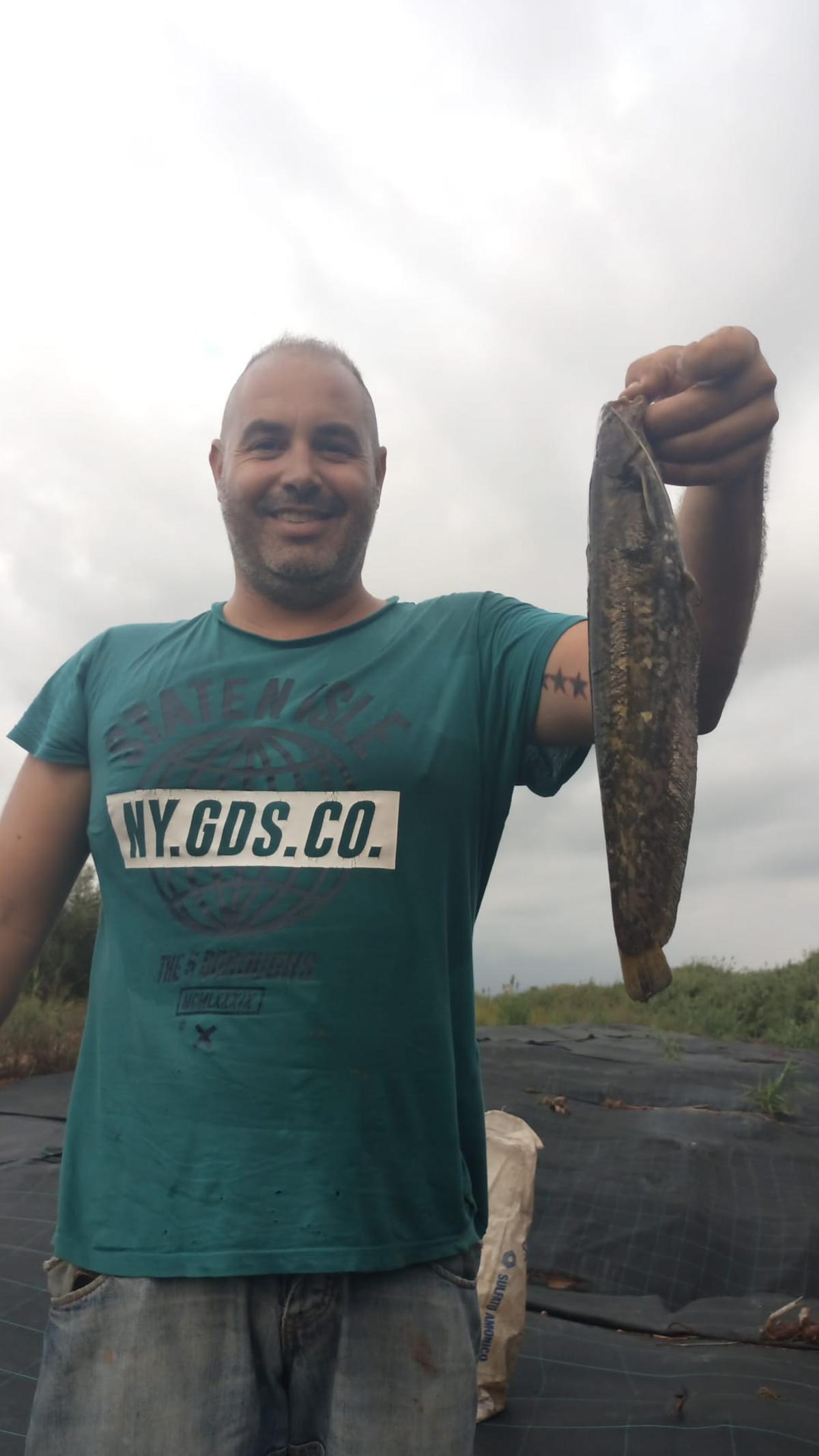 Pescador de Castelló sostiene un ejemplar de siluro capturado en las aguas altas del Xúquer en la Ribera.
