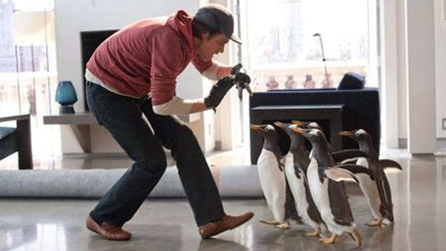 Los pingüinos del Sr. Poper
