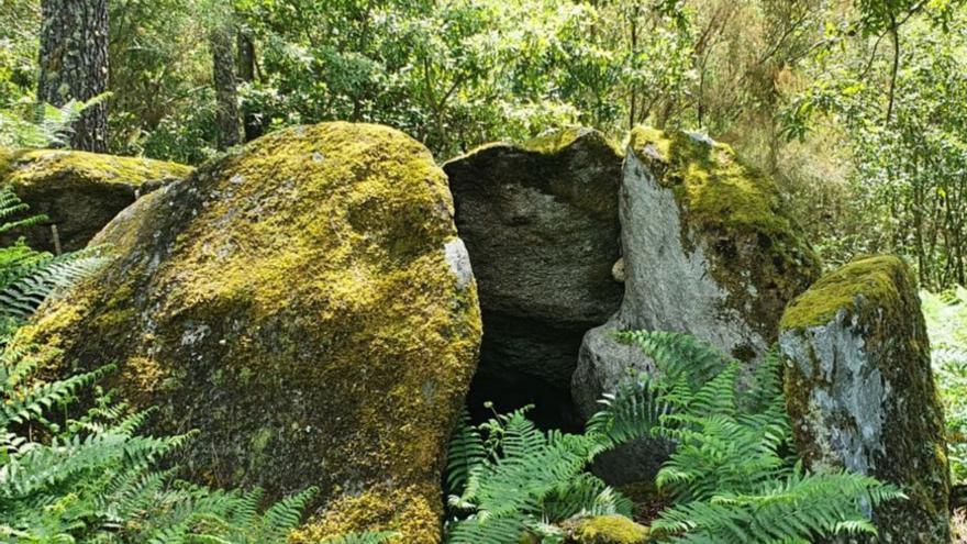 La zona está cubierta actualmente por vegetación. |   // D.P.