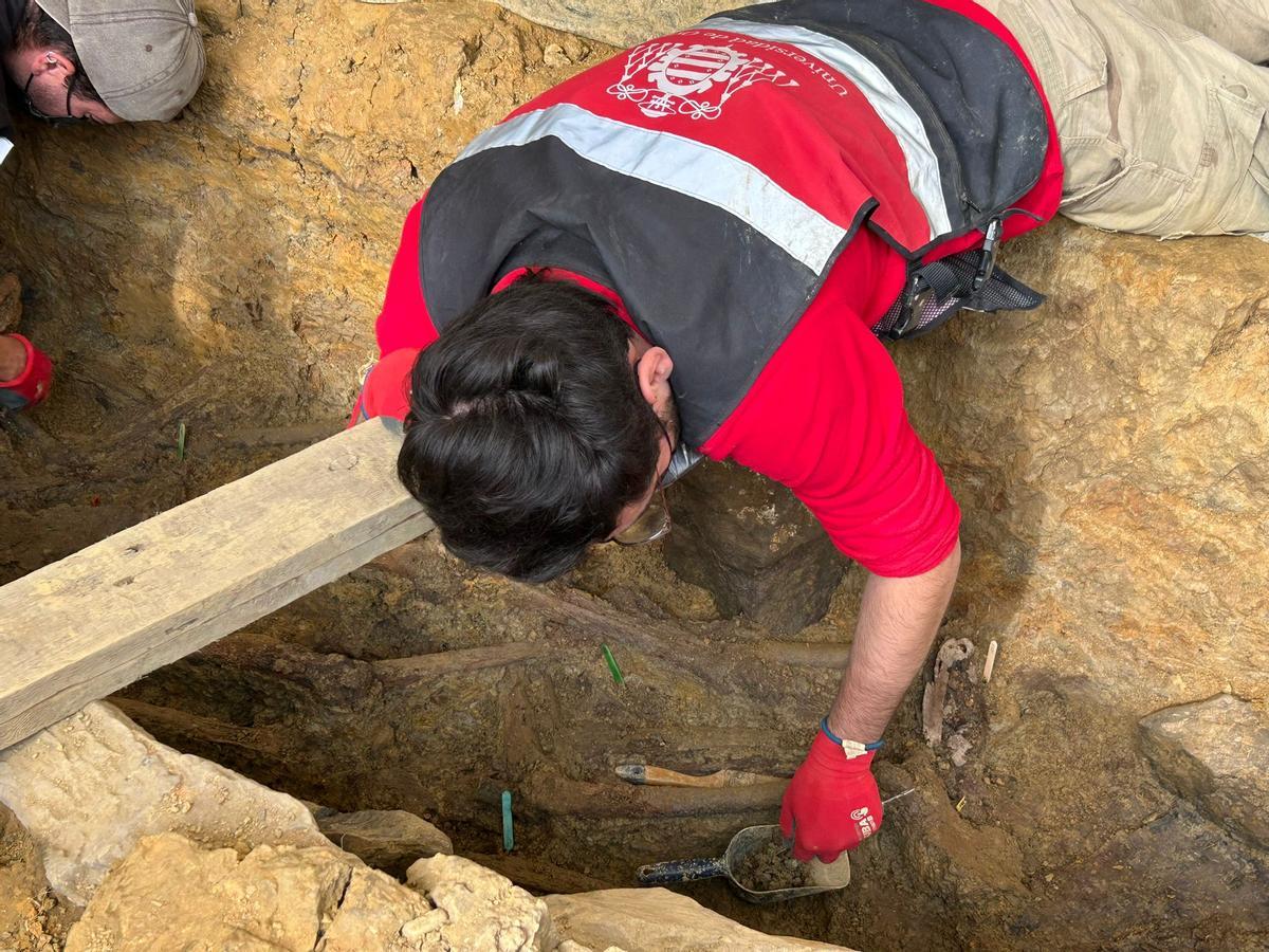EN IMÁGENES: Así avanzan los trabajos de exhumación en la fosa común de La Lloba, en Castrillón