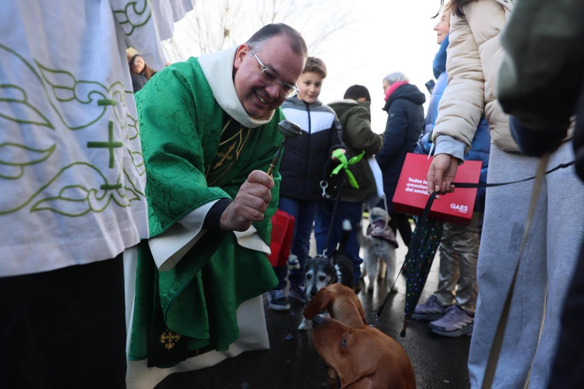 La bendición de animales en La Magdalena, en imágenes