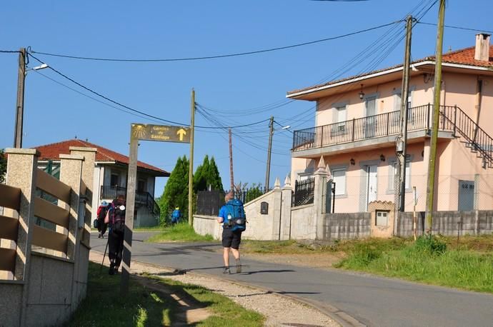 Canarios en el Camino de Santiago