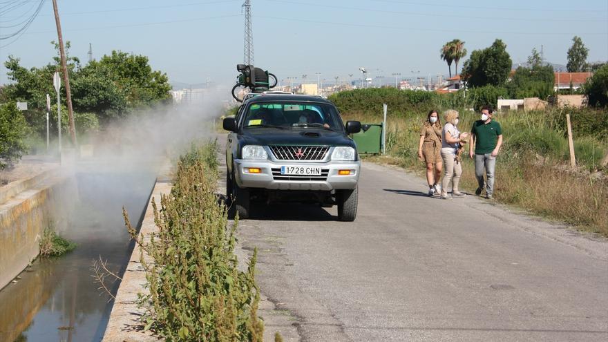 Guerra contra los mosquitos: Diputación intensifica los tratamientos en el litoral para intentar atajar la voraz plaga