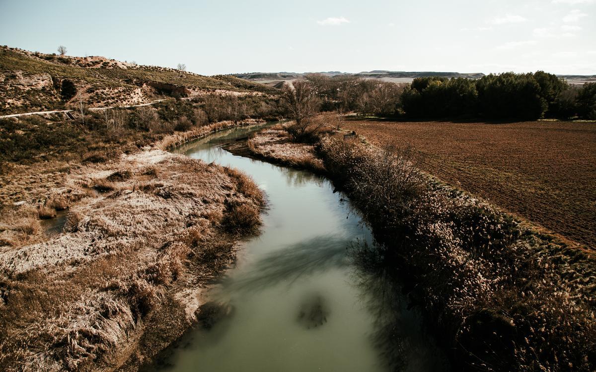 El Tajo, con un caudal bajísimo, ayer, a su paso por el municipio de Illana.