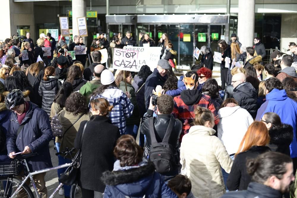 Protesta en A Coruña contra la caza de zorros