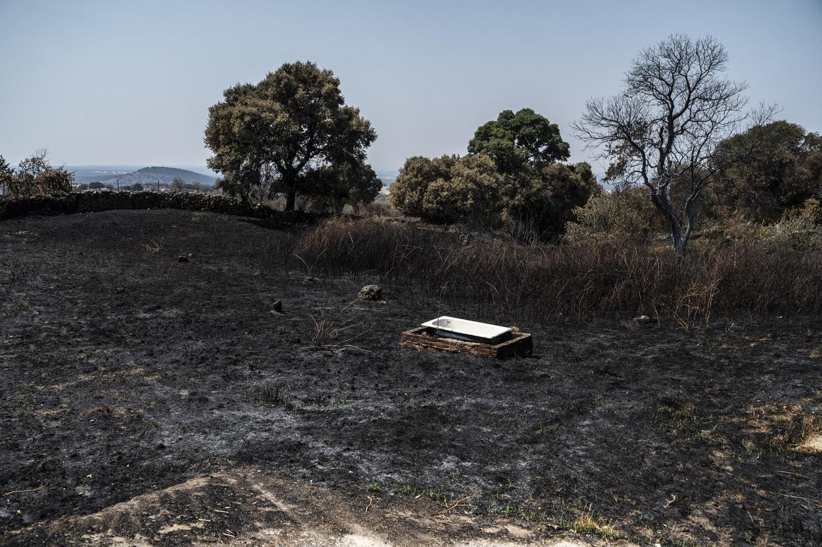 INCENDIO FORESTAL JARILLA DIA 10. JARILLA