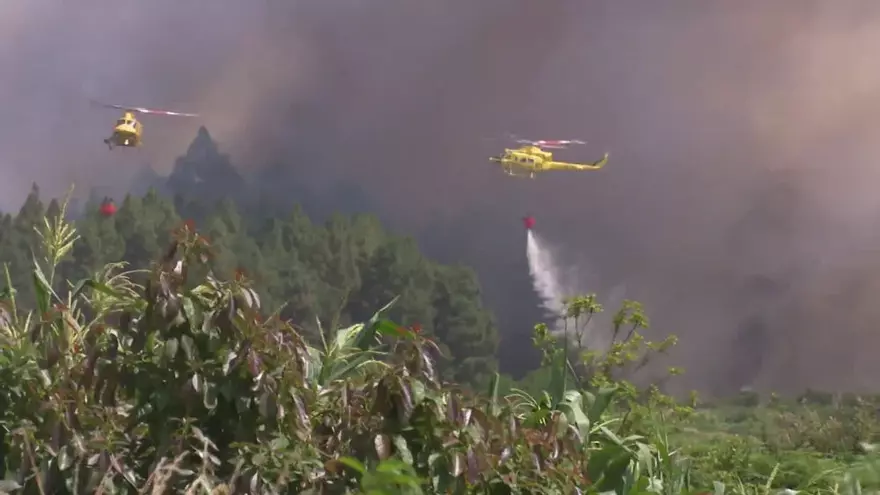 El incendio de Tenerife se adentra en el valle de La Orotava y obliga a desalojar a cientos de personas